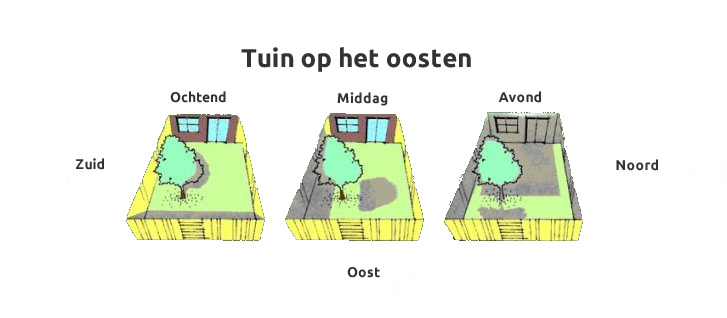 Tuin op het noorden zonuren Potplanten buiten schaduw