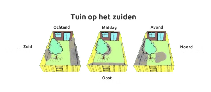 Zon In Tuin Op Het Noordoosten