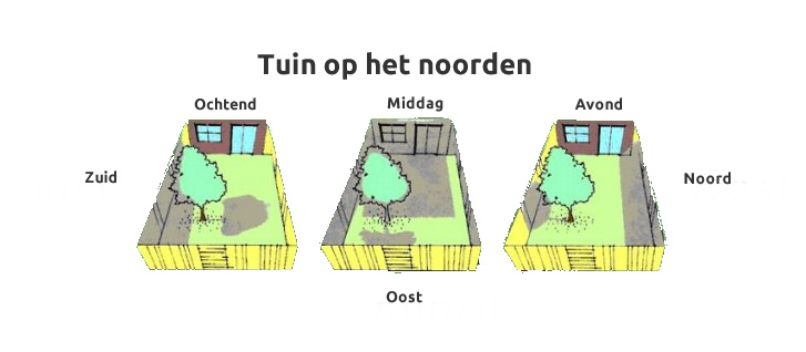 Zon In Tuin Op Het Noordoosten